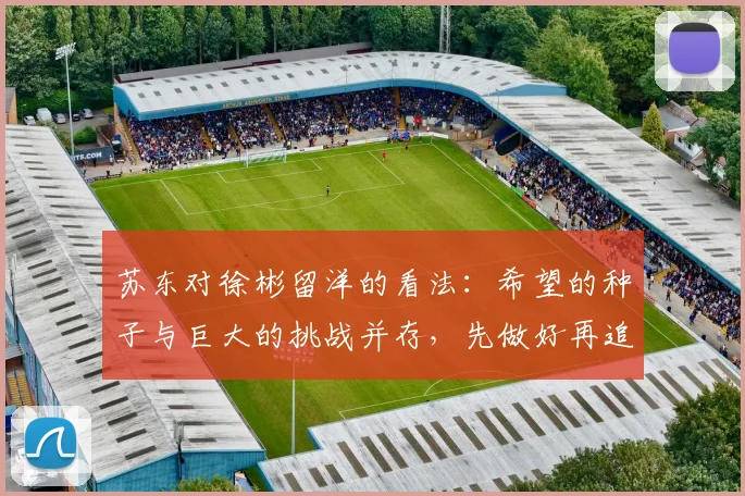苏东对徐彬留洋的看法：希望的种子与巨大的挑战并存，先做好再追求完美