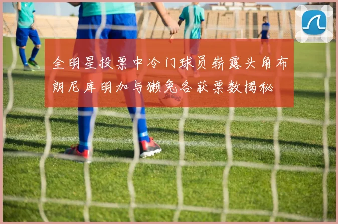 全明星投票中冷门球员崭露头角布朗尼库明加与獭兔各获票数揭秘