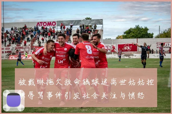 被戴琳拖欠救命钱球迷离世姑姑控诉辱骂事件引发社会关注与愤怒
