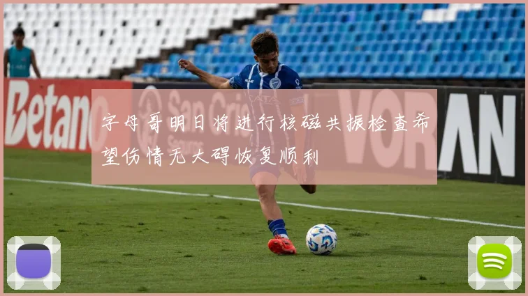 字母哥明日将进行核磁共振检查希望伤情无大碍恢复顺利