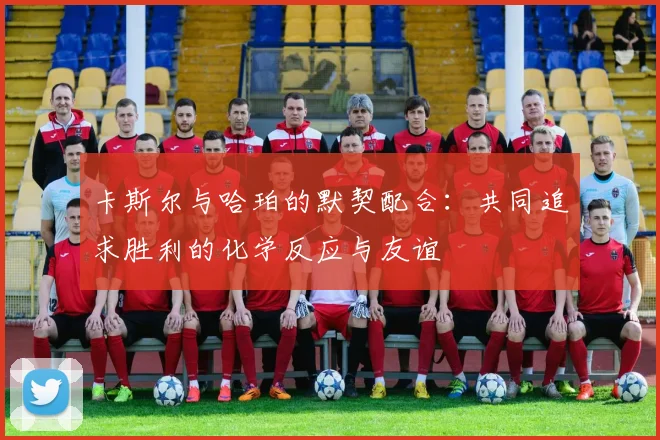 卡斯尔与哈珀的默契配合：共同追求胜利的化学反应与友谊